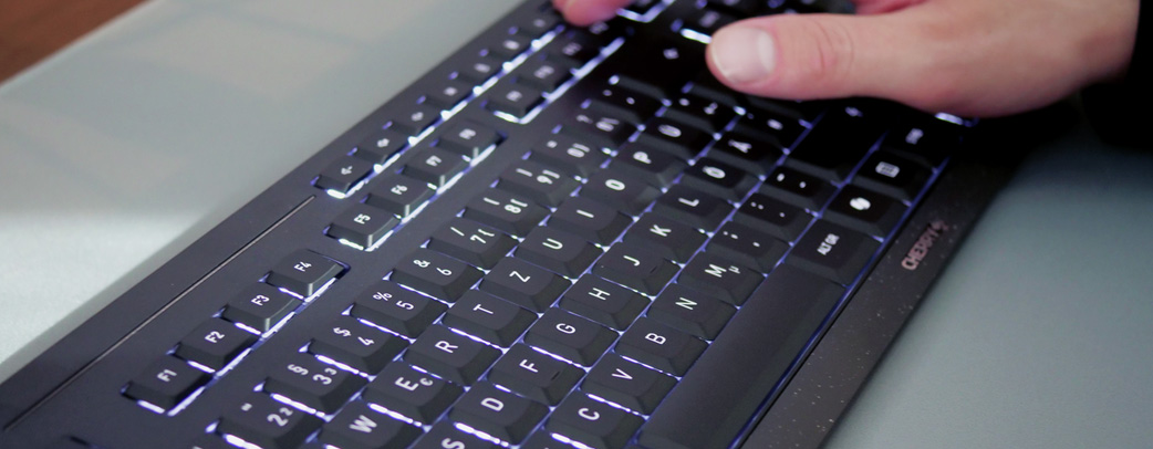 White Backlight White Backlight