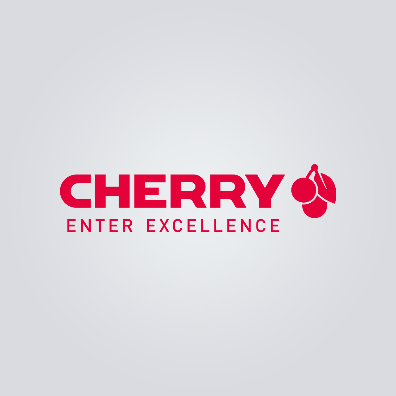 CHERRY XTRFY External Soundcard